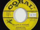 Sharon Soul 