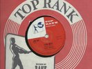SANDY  NELSON   SOUTH  AFRICA   78   TEEN  BEAT