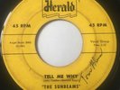 Original Doo-Wop R&B 45/ Sunbeams 