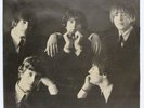 The Byrds 