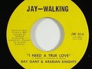 Ray Gant & Arabian Knights 