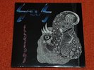 SADUS - ILLUSIONS - 1988 Self-Released RARE First Press Vinyl CHEMICAL EXPOSURE