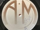 RARE STYX CORNERSTONE A&M DUTCH PROMO PRE RELEASE UNIQUE LP