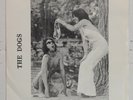 THE DOGS Rot 'N