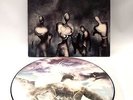 IN FLAMES 'Reroute To Remain' Picture Disc Vinyl LP 2002 Made In Germany - T08