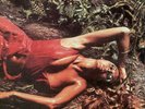 ROXY MUSIC Stranded 180gm VINYL LP VINYL NEW & SEALED