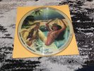 78 RPM Sonny Durham VOGUE PICTURE DISC  Desert Fantasy Scheherazade  V-
