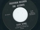 Garage Rocker The Accents FREEFORM 203 Slow down / Go now ?