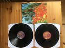 The Aliens - Luna Vinyl 2LP (First Press, 2008)