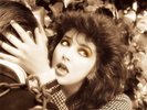 KATE BUSH - VINYL REMASTERS & BOX SETS. PRE-SELL 16/11 & 30/11