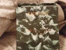 Kate Bush ?– The Single File 1978-1983 UK 7