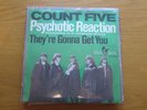 Count Five            Psychotic Reaction