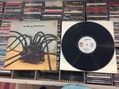 TARANTULA self-titled A&M RECORDS  RARE PROMO LP (Ex/Ex) psych ORIG WHITE LABEL