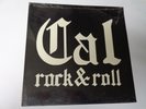CAL ROCK & ROLL  Homegrown  PRIVATE Hard Rock Psych LP Orig 1982 SEALED