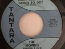 THE MOVING SIDEWALKS-99TH FLOOR 45 Texas Garage Psych TANTRA
