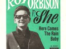 roy orbison:  she