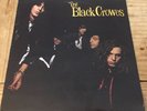 THE BLACK CROWES Shake Your Money Maker 1990 Def American Recordings Insert UK