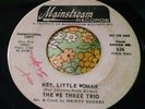 Rare Soul R&B Garage Dancer 45 The We Three Trio Hey, Little Woman Promo HEAR