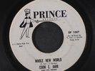 COOK E. JARR & HIS KRUMS: Whole New World / Maggie Magill 45 Hear  (don't be sc
