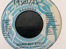 REGGAE DIG  Horace martin 'sound boy style' JA