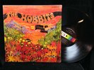 The Hobbits-Down To Middle Earth-Decca 74920-STEREO SHRINK PSYCH
