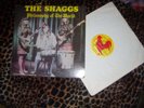 THE SHAGGS - PHILOSOPHY OF THE WORLD - 1980 ROUNDER / RED ROOSTER from 1980