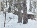 Panopticon 'The Scars Of Man On The Once Nameless Wilderness Part 1' 2x12