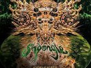 SHPONGLE - CODEX VI (VINYL 3 LP / 180G) New & Sealed