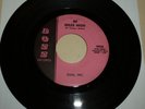GARAGE BAND 45 RPM RECORD - SOL, INC. - BOSS 9920