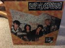 LIP CREAM Kill The IBM LP Punk Japanese  MINT