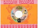 EIRE APPARENT on Buddah —YES, I NEED SOMEONE— psych 45 | NM PROMO | JIMI HENDRIX