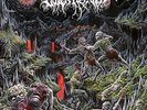 OUTER HEAVEN-REALMS OF ETERNAL DECAY (US IMPORT) VINYL LP NEW