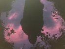 SLOW CRUSH Aurora Black & Purple Vinyl LP NEW & SEALED