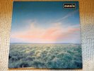 Oasis Whatever 12