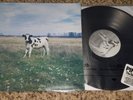 PINK FLOYD LP - DARK SIDE OF THE MOO - RARE & UNRELEASED TRACKS - NOT TMOQ