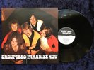GROUP 1850 Paradise Now 1969 LP Ltd. Pseudonym RE Psych Rock Acid Prog MINT