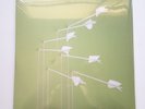 Modest Mouse - Good News For People Who Love Bad News 2xLP new sealed reissue