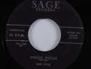 Rockabilly 45 BUD TITUS Hocus Pocus SAGE HEAR