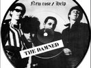 THE DAMNED New Rose / Help Picture Disc EP 45 7
