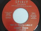 LARRY CRAIG 