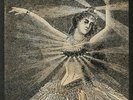 NEUTRAL MILK HOTEL - Neutral Milk Hotel - Vinyl (LP box)