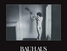 BAUHAUS   IN THE FLAT FIELD 40th ANN     BRONZE COLORED VINYL LP    *NEW/SEALED*