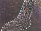 HENRY COW-Unrest VINYL NEW
