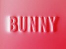 Matthew Dear - Bunny [2LP Rainbow Splatter Color Vinyl]