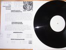 Iced Earth / iced earth / vinyl / Promotion Copy – Not For Sale / 12inch LP
