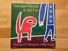 TEENAGE FANCLUB & JAD FAIR Words Of Wisdom And Hope LP 1ST PRESS 2002 NEU SEALED