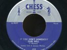 45tk- Country Rock-a-billy-CHESS  4859-Jimmy Lee and Johnny Mathis