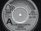 Honeybus She Is The Female To My Soul / For Where You Have Been Vinyl 7