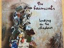 Raincoats - Looking in the Shadows LP 1996 SEALED - Tim Kerr Post Punk
