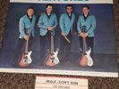 THE VENTURES 